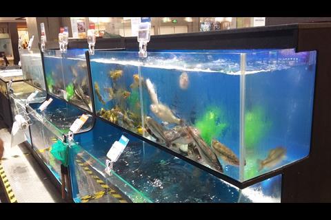 Fresh fish and crustaceans provide some retail theatre in store